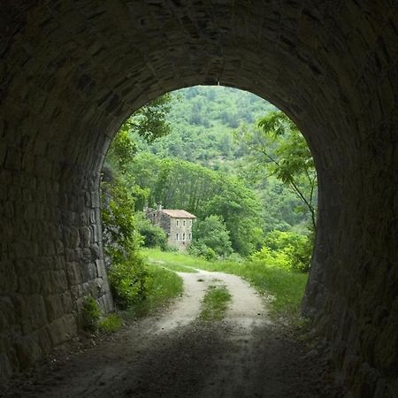 Villa Franka 113 Bašanija 外观 照片