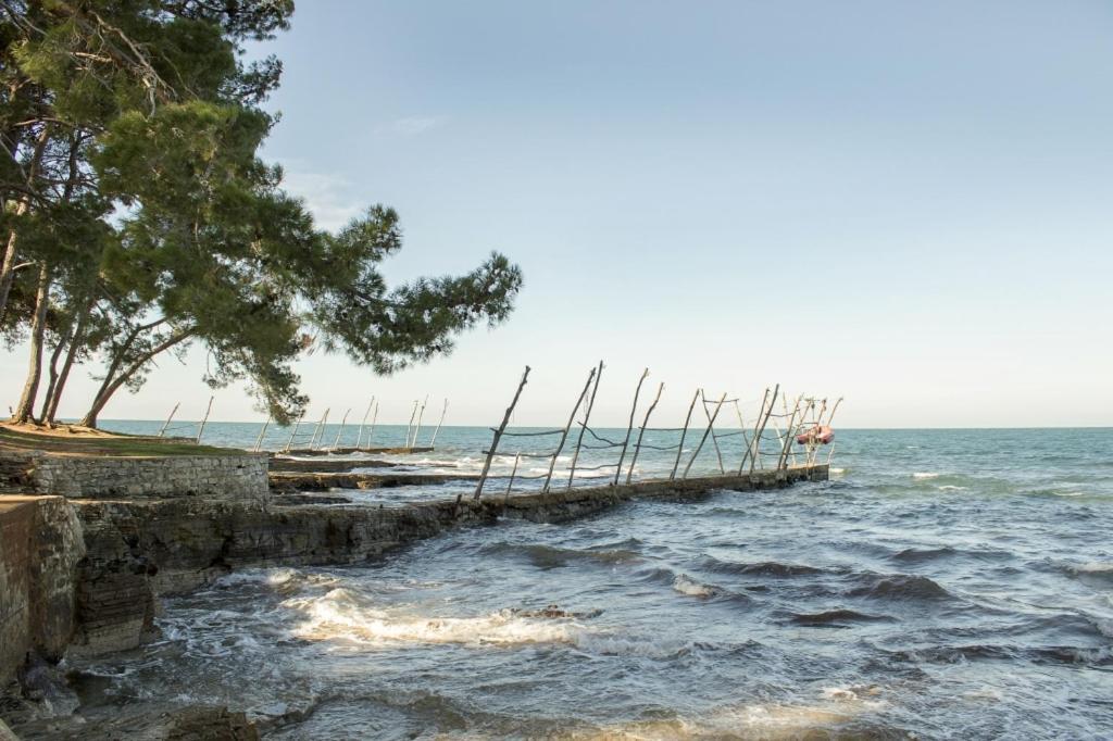 Villa Franka 113 Bašanija 外观 照片
