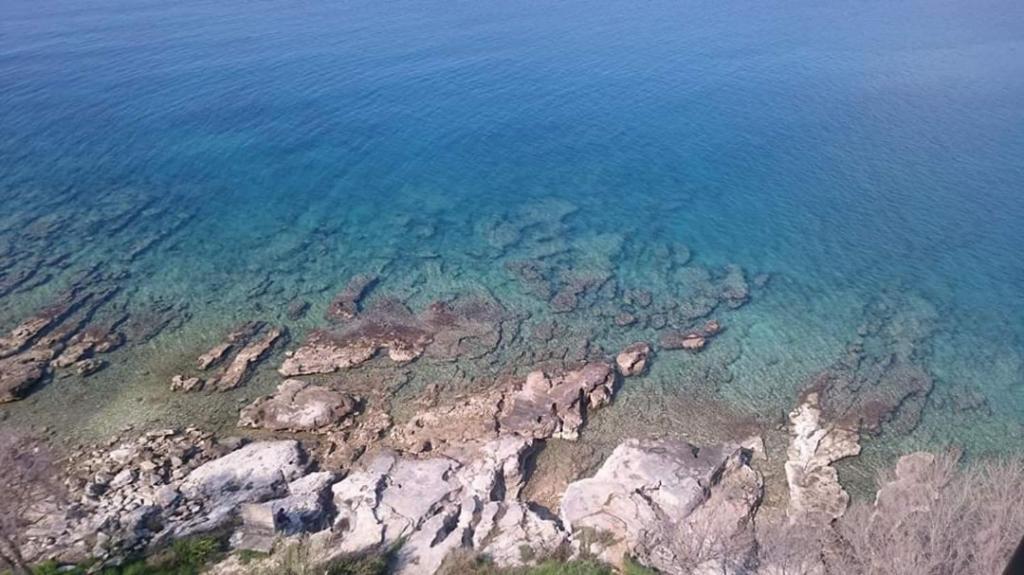 Villa Franka 113 Bašanija 外观 照片